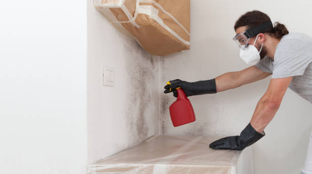 Professional Basement Mold Removal technician working in Willow Street, PA
