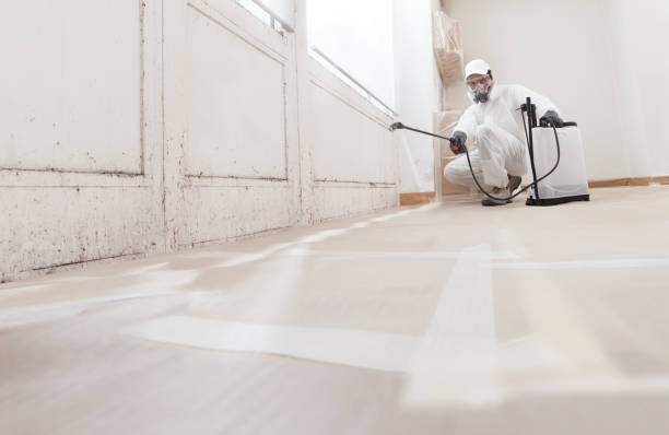 24/7 Emergency Basement Mold Removal experts in Willow Street, PA